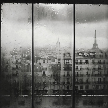 Picture of PARIS PHOTO EMOLTION