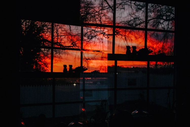 Picture of SUNSET WINDOW 4