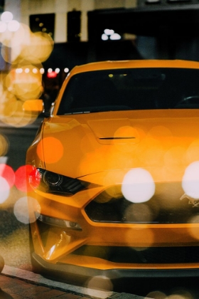 Picture of THE ORANGE MUSTANG