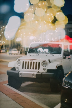 Picture of THE WHITE JEEP