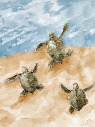 Picture of TURTLES HEADING OUT TO SEA
