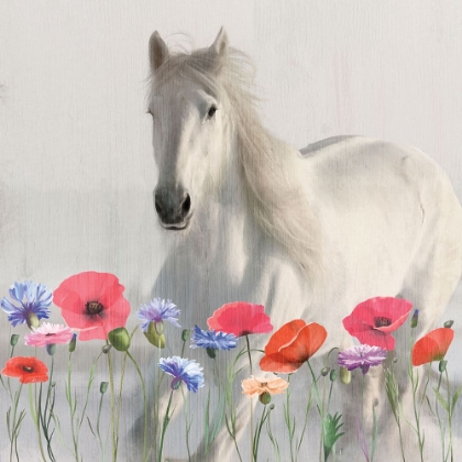 Picture of WILDFLOWER HORSE