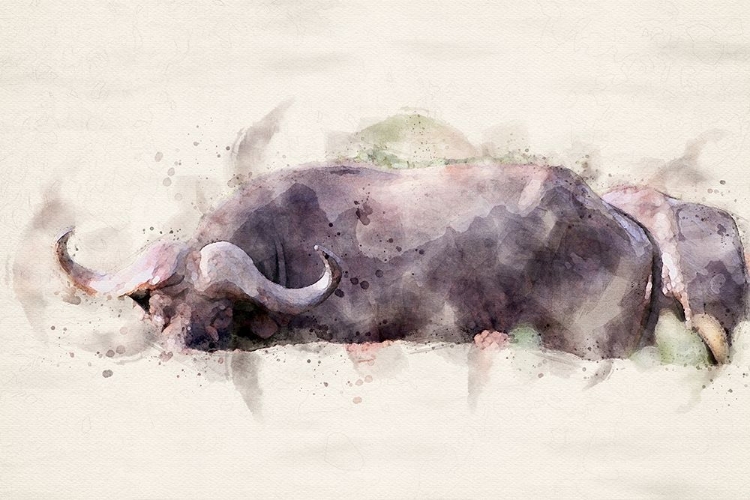 Picture of ABSTRACT AFRICAN BUFFALO WATERCOLOR ART
