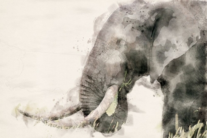 Picture of ABSTRACT AFRICAN ELEPHANT WATERCOLOR ART