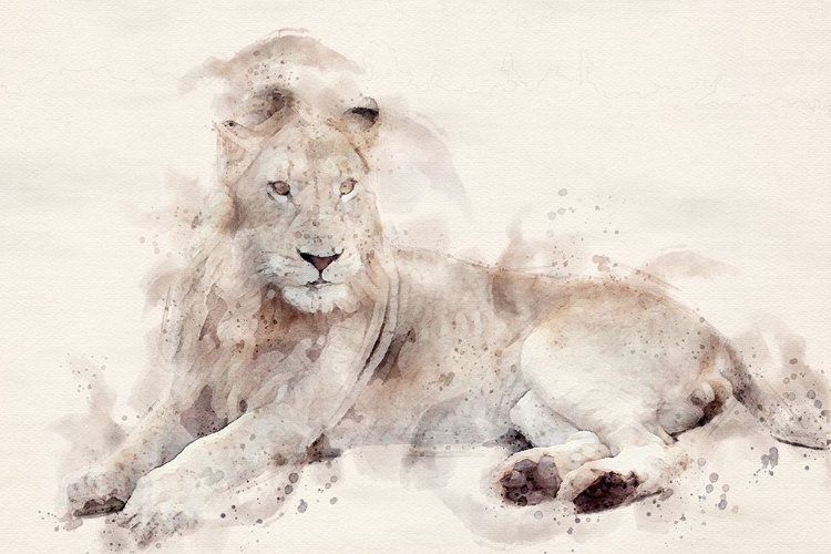 Picture of ABSTRACT AFRICAN LION WATERCOLOR ART