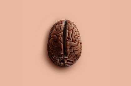 Picture of BRAIN BEAN