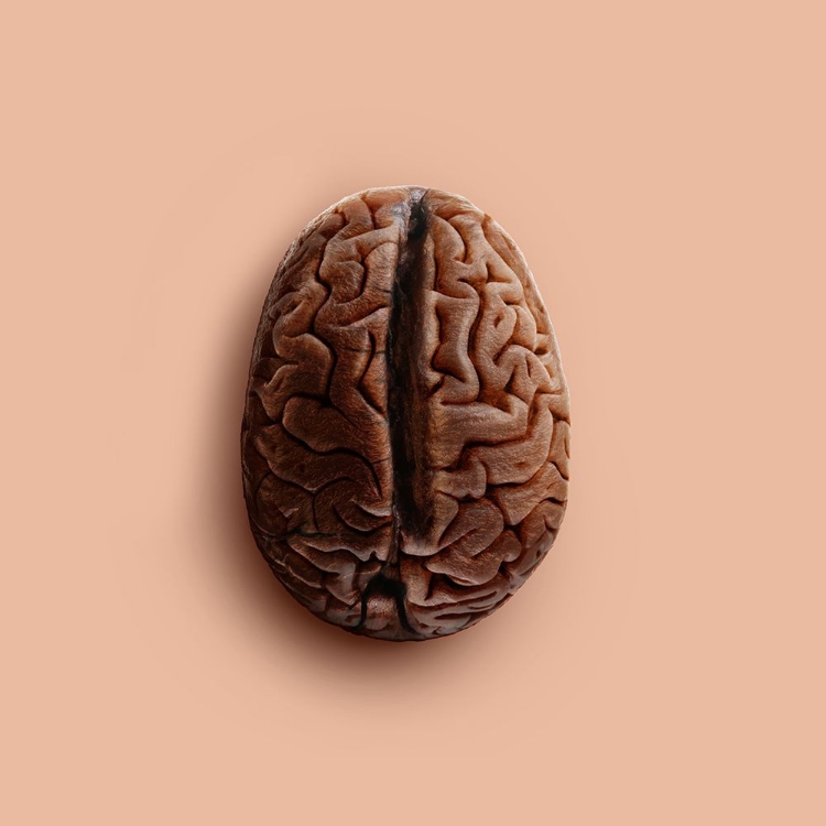 Picture of BRAIN BEAN