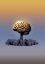 Picture of BRAIN EXPLOSION