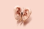 Picture of BUTTERFLY EARS