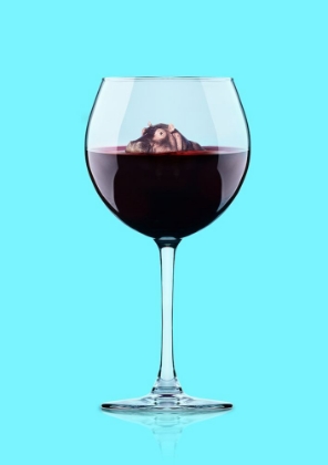 Picture of DIVE IN WINE