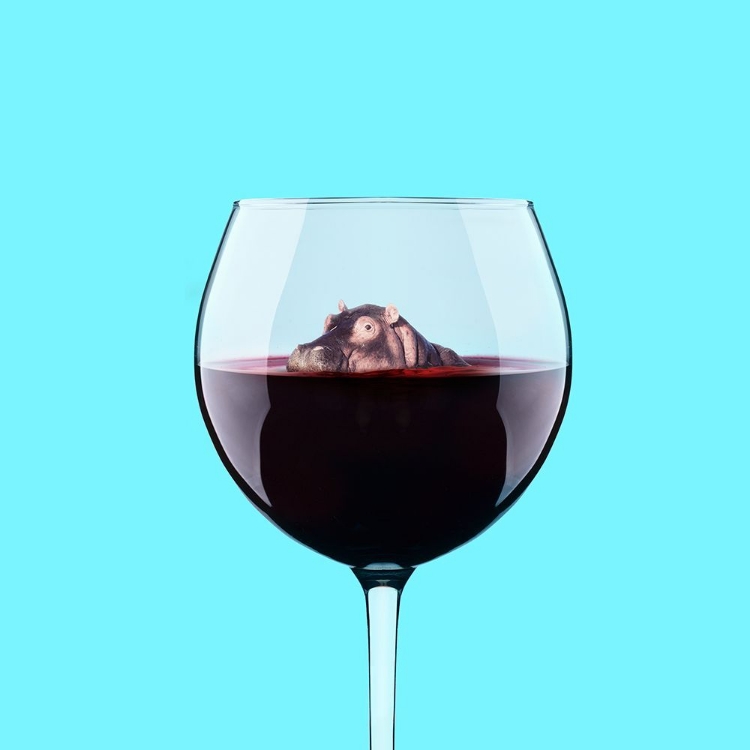 Picture of DIVE IN WINE