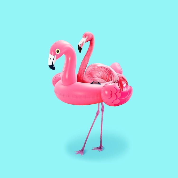 Picture of FLAMINGO ON RESORT