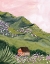 Picture of MOUNTAIN HOUSE