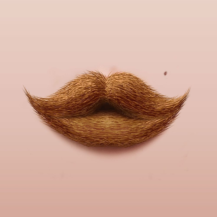 Picture of MOUSTACHE KISS