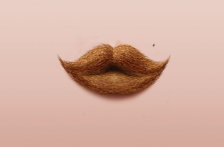 Picture of MOUSTACHE KISS