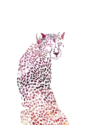 Picture of PINK CHEETAH