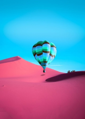 Picture of PINK DESERT