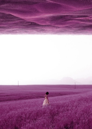 Picture of PURPLE FIELDS