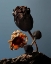 Picture of STILL LIFE FLOWERS NO2