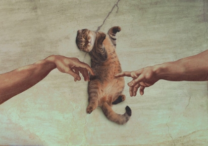 Picture of TOUCH OF THE KITTY