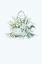 Picture of WHITE BELL FLOWERS HOME