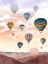 Picture of AIRBALLOON SKY