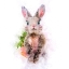 Picture of BABY RABBIT