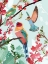 Picture of BIRDS OF SUMMER