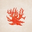 Picture of CORAL