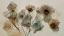 Picture of DRY FLOWERS NO 4