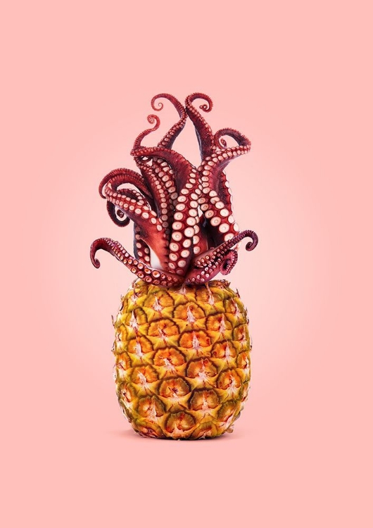 Picture of OCTOPUS PINEAPPLE