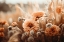 Picture of ORANGE FLOWERS NO 2