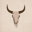 Picture of SKULL
