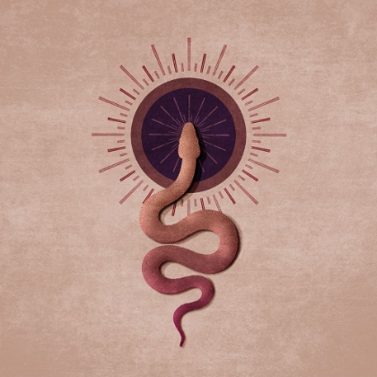 Picture of SUN SNAKE
