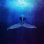 Picture of WHALE