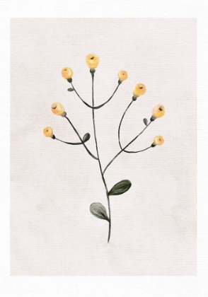 Picture of YELLOW TREASURE