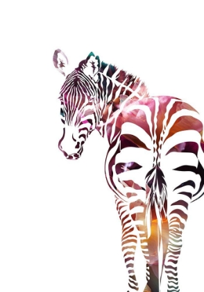 Picture of ZEBRA SILHOUETTE