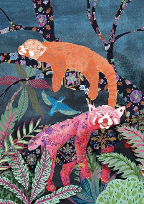 Picture of ACANIMEEKO JUNGLE RED PANDAS
