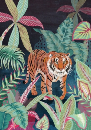 Picture of ACANIMEEKO JUNGLE TIGER