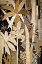 Picture of BAMBOO JUNGLE