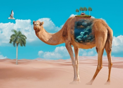 Picture of CAMEL