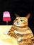 Picture of CAT FRIDAY NIGHT DRINKS WINE FUNNY CAT HUMOUR