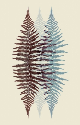 Picture of CHOCOLATE AND TEAL FERN
