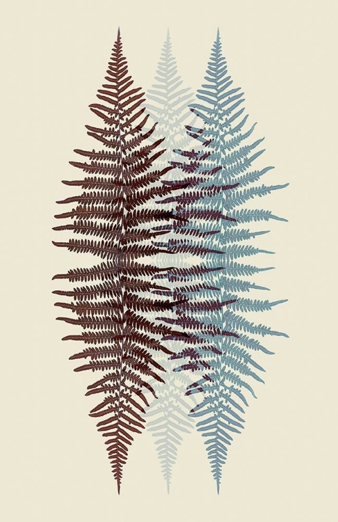 Picture of CHOCOLATE AND TEAL FERN