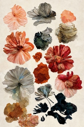 Picture of DRY FLOWER COLLECTION