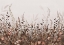 Picture of HL005  FLOWERS 3   4206MM X 3000H