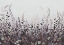 Picture of HL006  FLOWERS 4   4206MM X 3000H