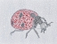 Picture of LADYBUG LOVE