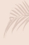 Picture of PALM LEAF