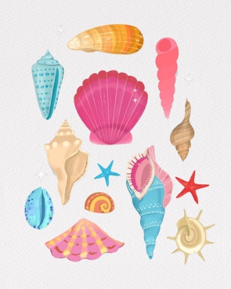 Picture of SEASHELLS
